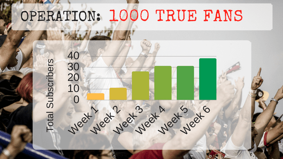 copy-of-operation_-5