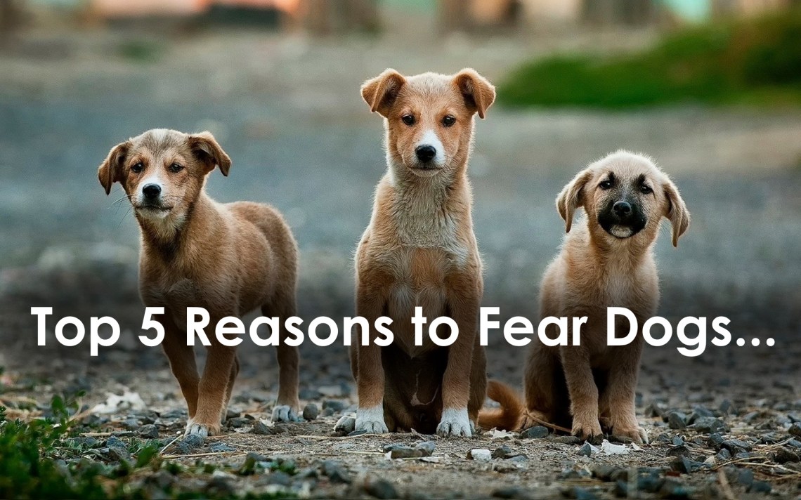 Top 5 Reasons to Fear Dogs